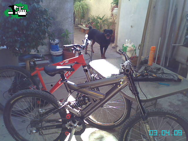 mis bike y su guardian!