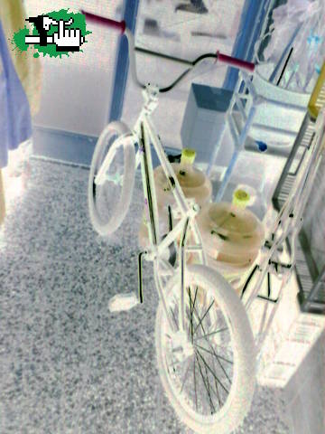 ~Bike Check ~