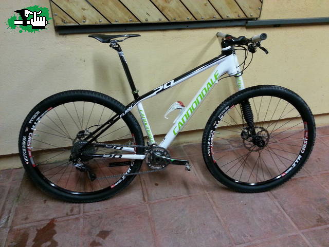 CANNONDALE F29 