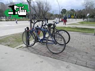 Bici playera GreenLine azul robada el 29/3/2015