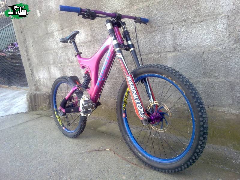 Specialized Edition Purple