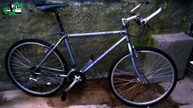 Raleigh M-60 1994