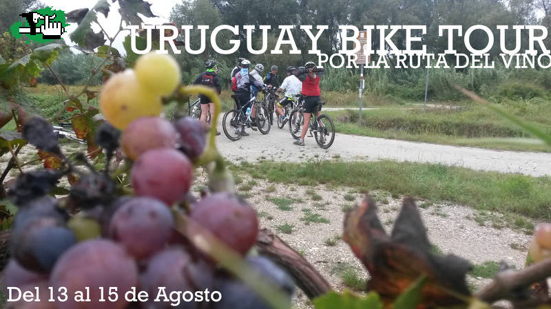 Uruguay, por la ruta del vino
