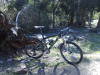 foto de Vendo ruedas shimano xt disc 2009