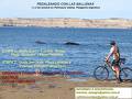 foto de pedaleando con las ballenas 