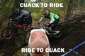 foto de cuack to ride