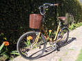 foto de Bicicleta Plegable Retro Fiorenza