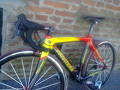 foto de Vendo Bicicleta Privitera Talle 48.