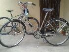 foto de restauracion de la chinita. Taihu Gongzhu bicicleta estilo inglesa.