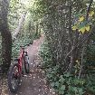 foto de mi bici y el camino